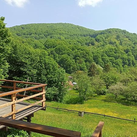 Honey Dome Hotel Vizhenka ภายนอก รูปภาพ