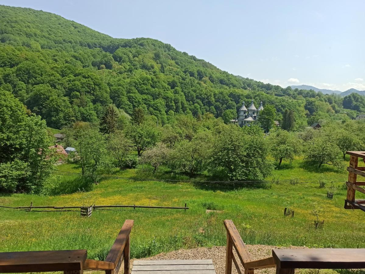 Honey Dome Hotel Vizhenka ภายนอก รูปภาพ